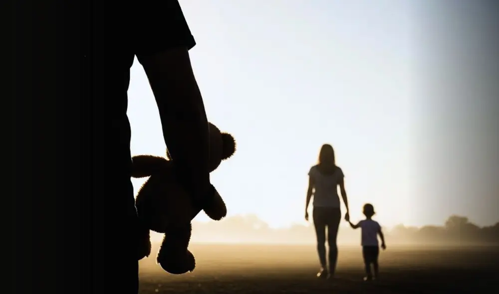 ¿puedo denunciar a mi expareja por pensión de alimentos si abandonó a su hijo y yo me hice cargo? ¿puedo denunciar a mi expareja por pensión de alimentos si abandonó a su hijo y yo me hice cargo?