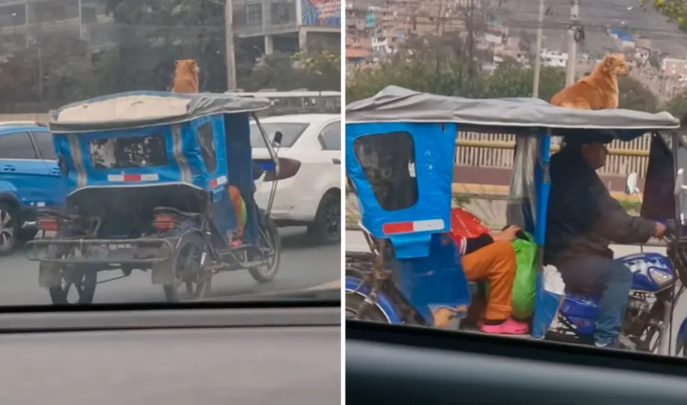 Video tiene miles de reproducciones en la plataforma.