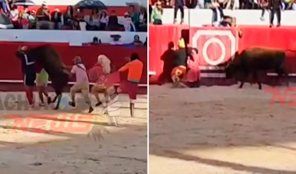 ‘Pompín’ cayó y se golpeó la cabeza, lo que derivó en un traumatismo encéfalo craneano. ‘Pompín’ cayó y se golpeó la cabeza, lo que derivó en un traumatismo encéfalo craneano.