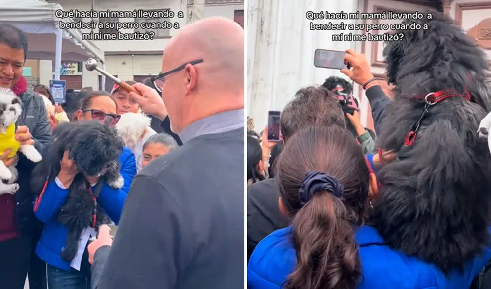 Video tiene miles de vistas en la plataforma.