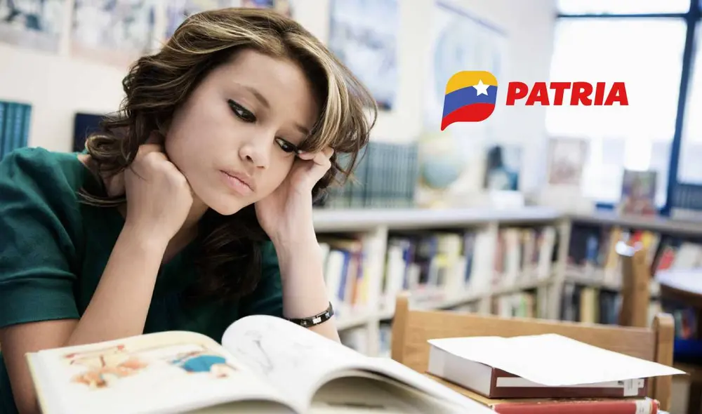 La mayoría de bonos se entregan por el Sistema Patria de Venezuela. Foto: composiciónLR/Understood/Patria