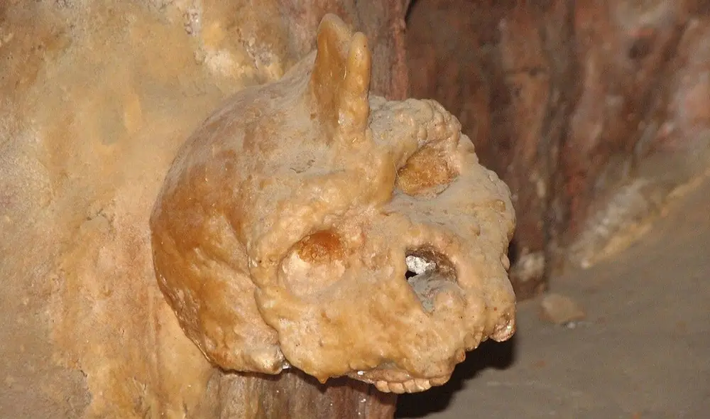 El cráneo de Petralona es una pieza misteriosa e importante en el rompecabezas de la evolución humana. Foto: Nadina