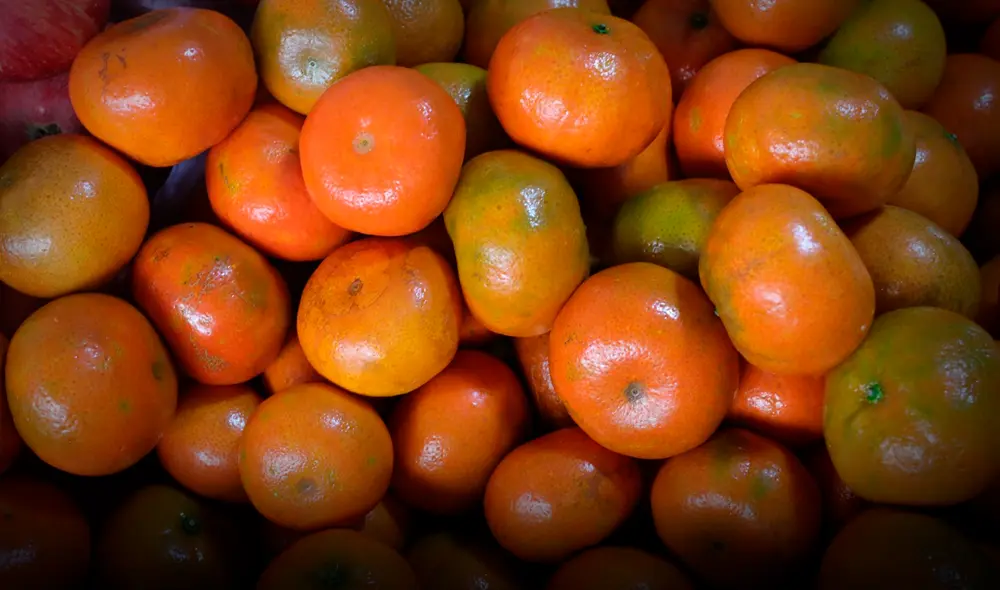 Perú lidera la exportación de mandarina en Sudamérica con US$ 64 millones en 2025. Perú lidera la exportación de mandarina en Sudamérica con US$ 64 millones en 2025.