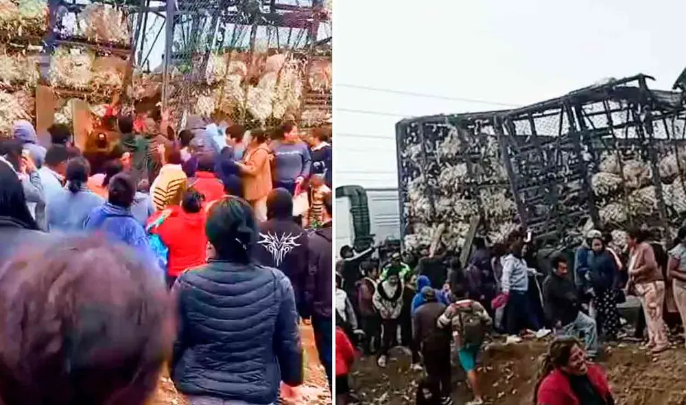 La PNP realiza las investigaciones para conocer qué sucedió previo al saqueo de pavos en Mala. La PNP realiza las investigaciones para conocer qué sucedió previo al saqueo de pavos en Mala.