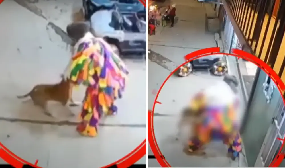 Sujeto golpea a perrito en calle de Junín. Foto: Composición LR/ATV Noticias