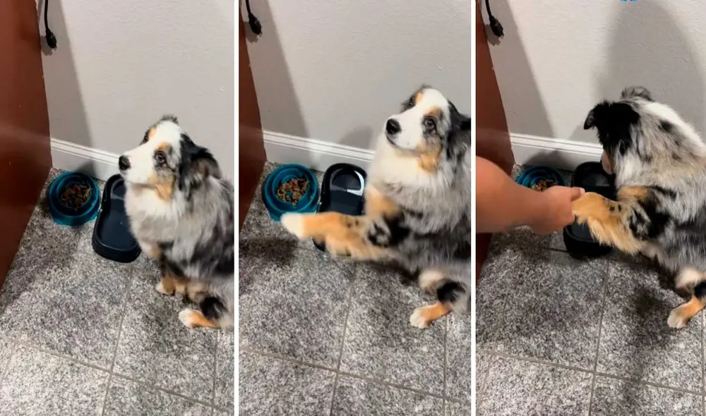 Video tiene miles de reproducciones en la plataforma.