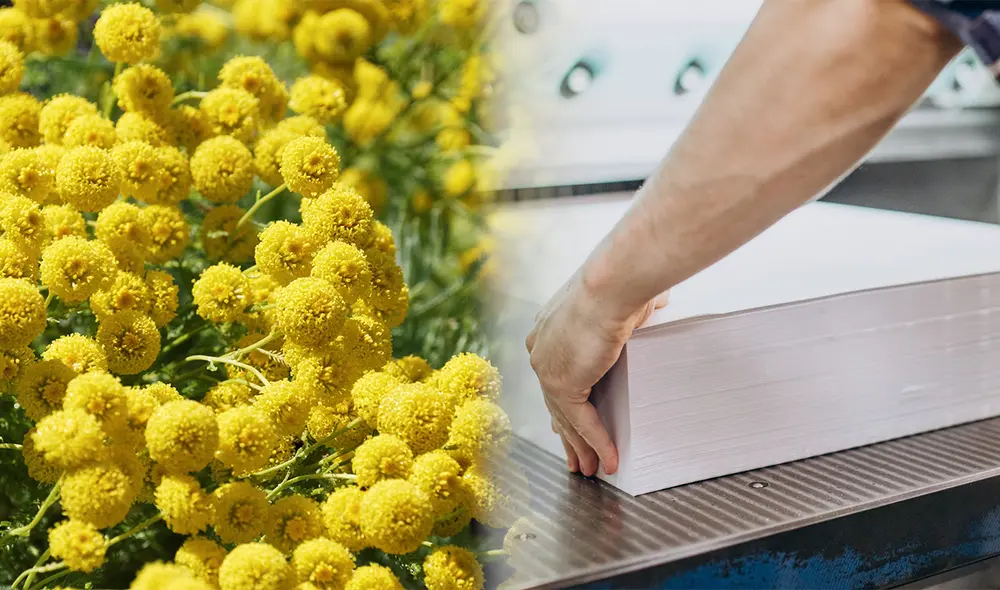 El polen podría servir como un material para crear productos ecológicos. Foto: Pexels