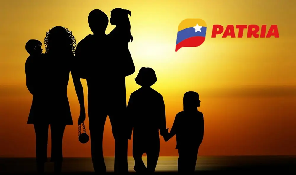 La mayoría de bonos de la patria se entregan por la plataforma del mismo nombre. Foto: composiciónLR/Freepik/Patria