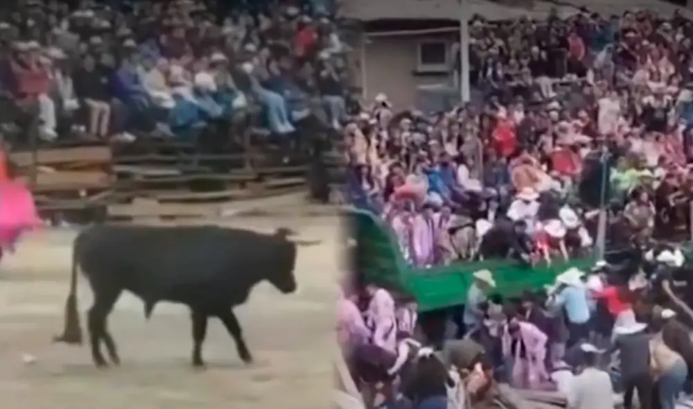 La embestida del toro causó la muerte de un joven, quien quiso demostrar que podía dominar al animal. Foto: Composición LR