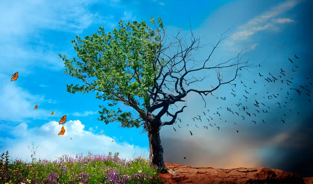 Las estaciones marcan el ritmo de la vida de los seres vivos, incluidos los humanos. Foto: Artcom