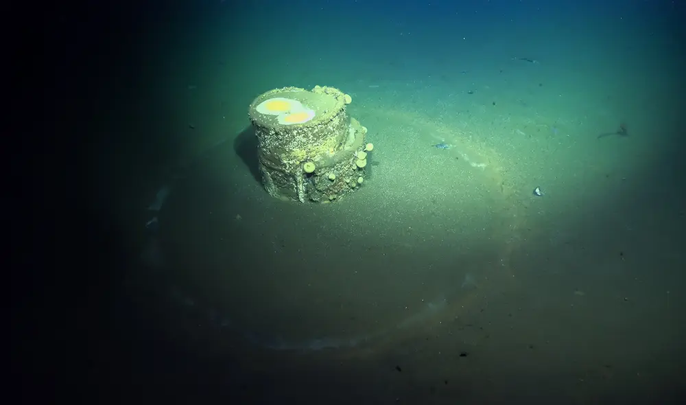 Los barriles tóxicos, parecen tener "halos" a su alrededor, y un estudio descubrió la razón. Foto: Schmidt Ocean Institute