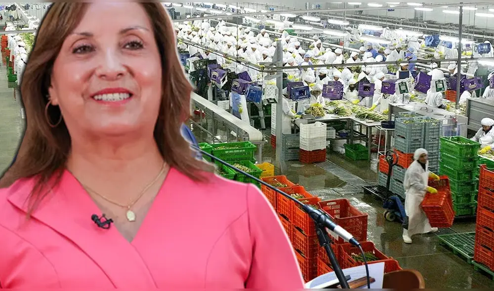 Dina Boluarte promulga ley Chlimper 2.0. Foto: composición LR Dina Boluarte promulga ley Chlimper 2.0. Foto: composición LR