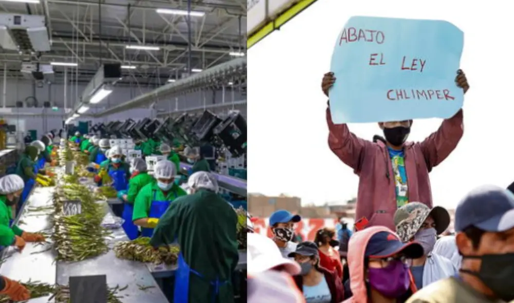 A pesar de las críticas, el Ministerio de Economía defiende que la ley generará empleo y aumentará la recaudación del IGV. Foto: composición LR A pesar de las críticas, el Ministerio de Economía defiende que la ley generará empleo y aumentará la recaudación del IGV. Foto: composición LR