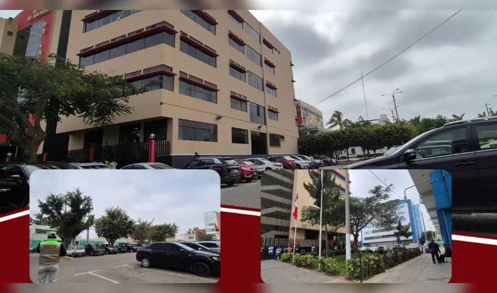 Se han realizado labores como la poda de árboles y jardines para mejorar la visibilidad y el orden. Fuente: Difusión.