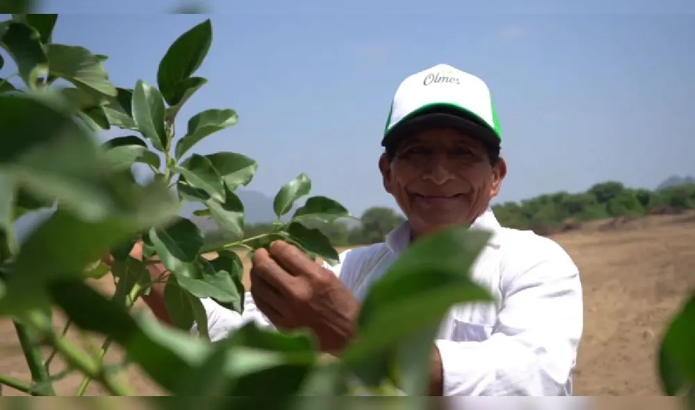 Este modelo agrícola integra producción, sostenibilidad y bienestar comunitario. Fuente: Difusión.