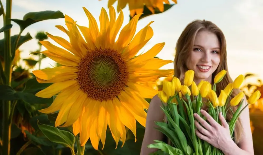 Revisa todos lo que necesitas saber sobre el 21 de septiembre y su relación con las flores amarillas. Foto: Composición LR/Andina/Freepik Revisa todos lo que necesitas saber sobre el 21 de septiembre y su relación con las flores amarillas. Foto: Composición LR/Andina/Freepik