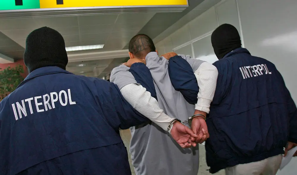 Durante el operativo, realizado en 18 países, la Interpol detuvo a 386 personas.