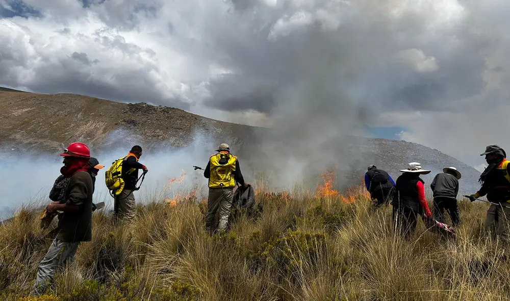 Fuego habría iniciado por pastores que prendieron ramas para ahuyentar a un puma.