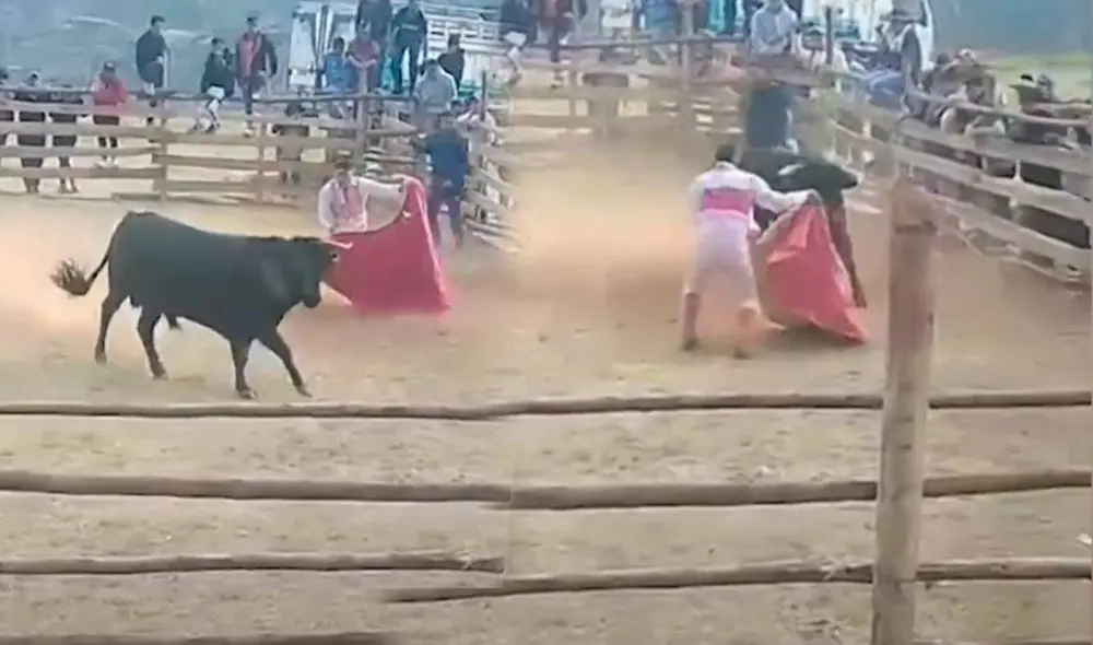Muere joven torero aficionado tras ser embestido por un toro durante fiesta patronal en Apurímac.
