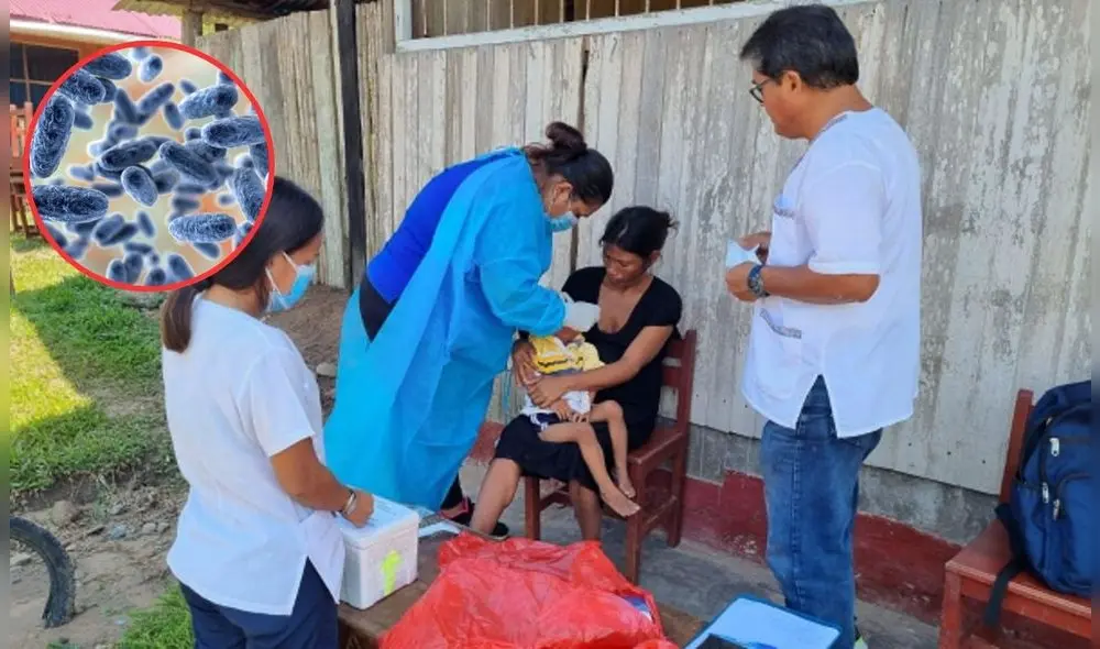 Piden declarar alerta sanitaria a Datem del Marañón por casos de Tos ferina. Foto: LRFoto: Composición LR/CDN/La Vanguardia Piden declarar alerta sanitaria a Datem del Marañón por casos de Tos ferina. Foto: LRFoto: Composición LR/CDN/La Vanguardia