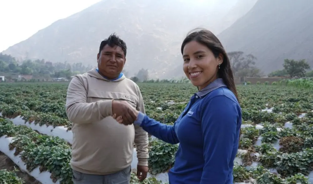 La institución apoya a 734.000 clientes en Perú. Foto: BBVA
