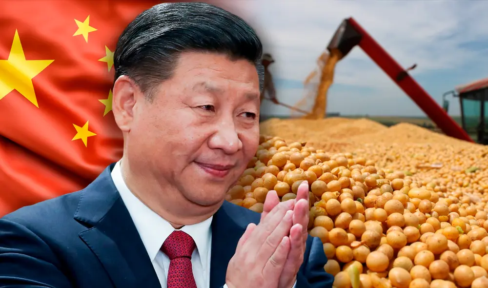 Argentina compite con Brasil para convertirse en el reemplazo de EE. UU. que China busca para la soja. Argentina compite con Brasil para convertirse en el reemplazo de EE. UU. que China busca para la soja.
