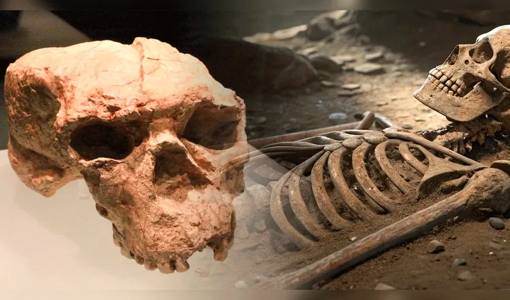 El hallazgo científico en China permite debatir acerca de la evolución humana.