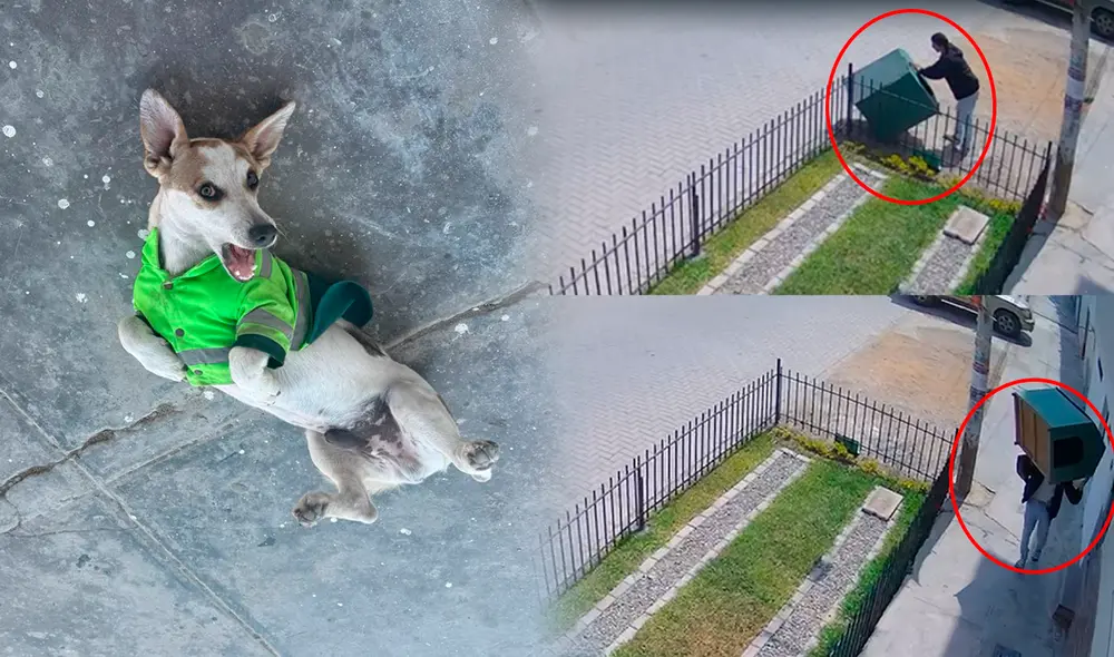 Vecinos buscan al autor del robo. Vecinos buscan al autor del robo.