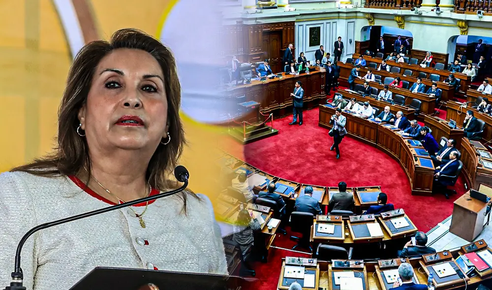 Congreso ha presentado cuatro mociones de vacancia contra Dina Boluarte. Foto: composición LR