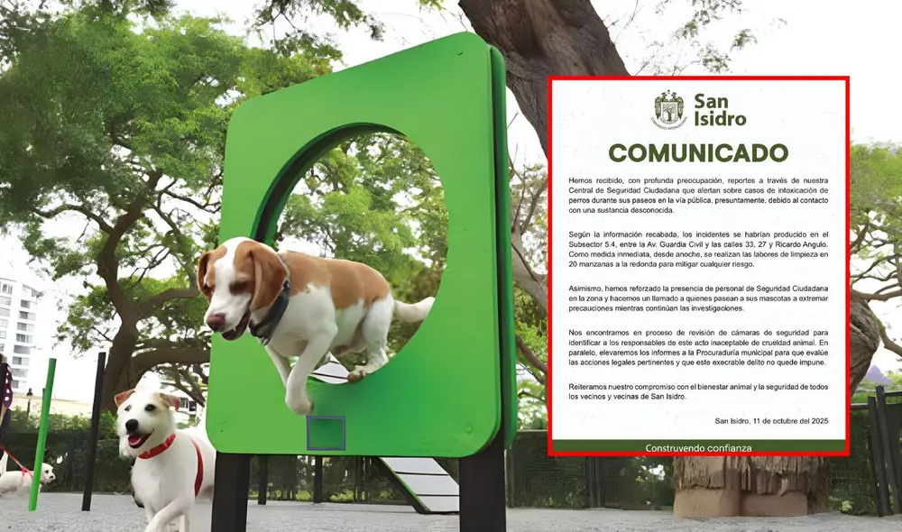 Municipalidad de San Isidro investiga presunto acto de crueldad animal y refuerza limpieza en la zona Municipalidad de San Isidro investiga presunto acto de crueldad animal y refuerza limpieza en la zona