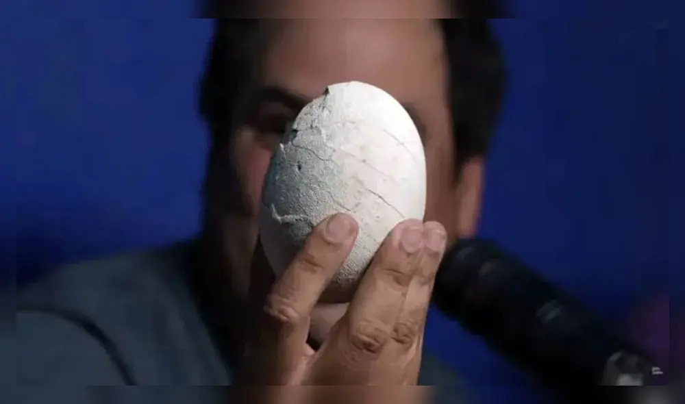 Paleontólogos descubrieron el primer huevo de dinosaurio carnívoro de América Latina en Argentina. Paleontólogos descubrieron el primer huevo de dinosaurio carnívoro de América Latina en Argentina.