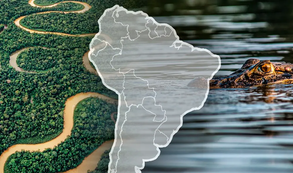 El río Amazonas es reconocido oficialmente como el río más largo del mundo, con una longitud aproximada de 7.062 kilómetros. Foto: Composición LR