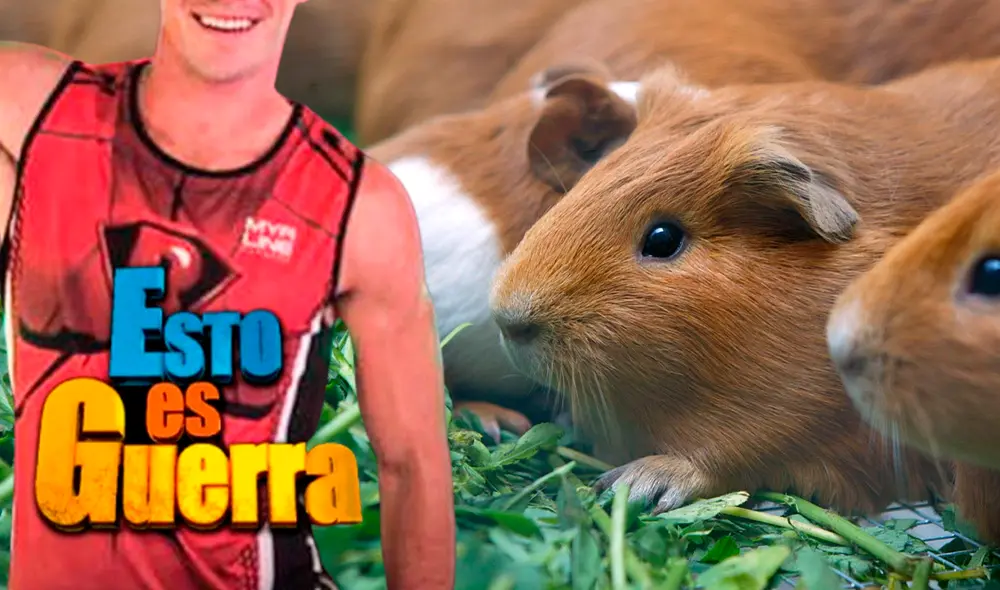 El también extenista profesional cuenta con 33 años. Foto: Composición LR/Instagram/Andina.