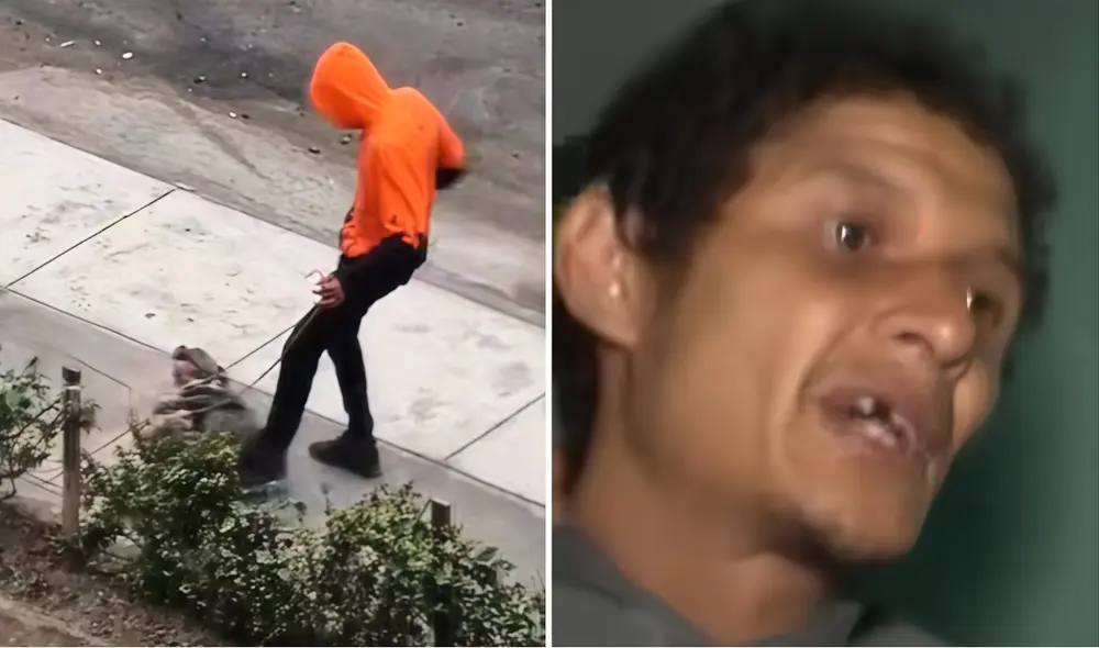 Agresor que maltrato a perro ya fue detenido por la PNP