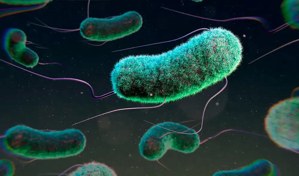 Bacterias como la E. coli ahora son mucho más resistentes a los tratamientos. Foto: Wired