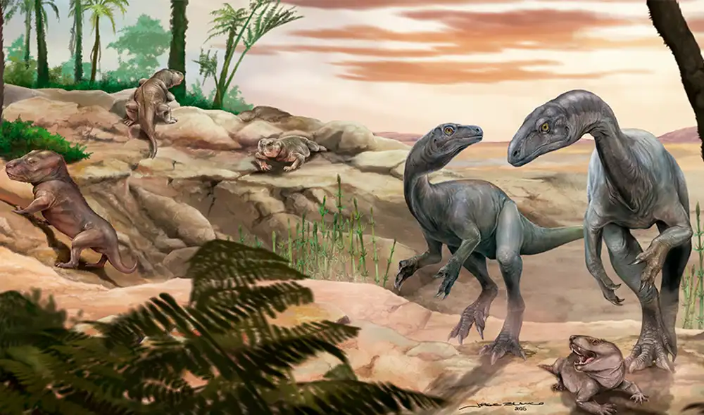 El Huayracursor jaguensis vivió durante una etapa de auge de los ecosistemas terrestres. Foto: CONICET El Huayracursor jaguensis vivió durante una etapa de auge de los ecosistemas terrestres. Foto: CONICET