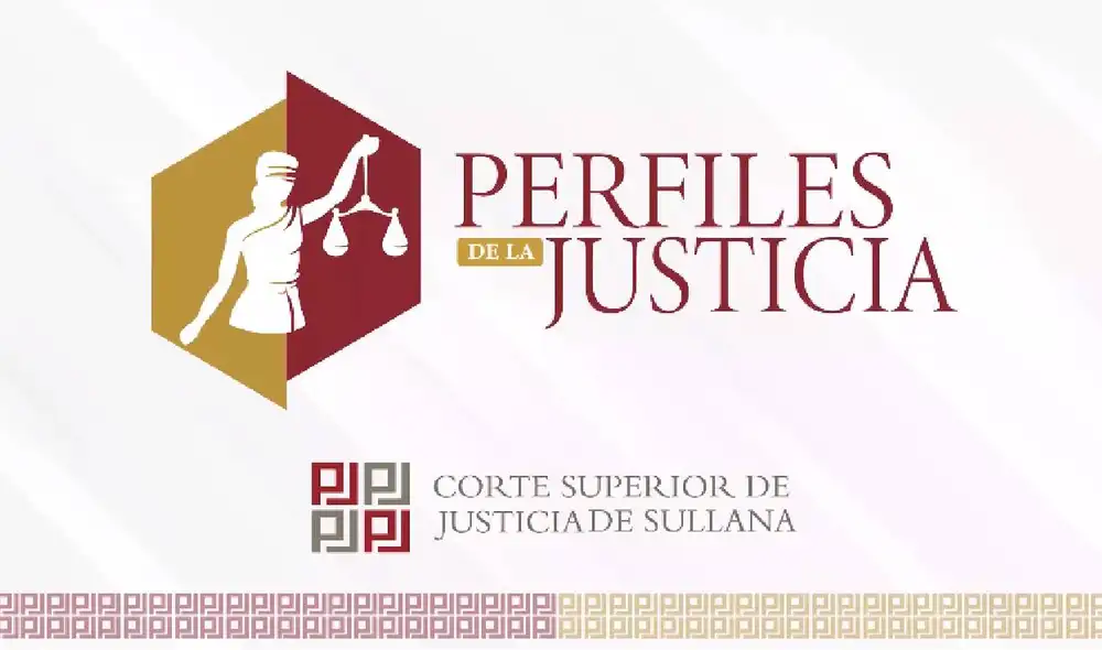 Política criminal, seguridad ciudadana y flagrancia delictiva