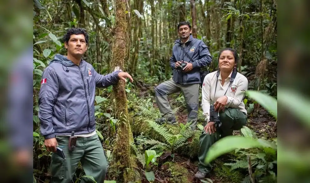 Guardaparques realizan una labor fundamental en el Perú. Foto: Inforegión