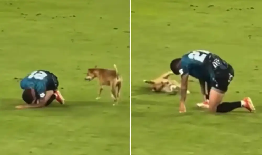 "Camilla para los dos", bromearon usuarios en TikTok.