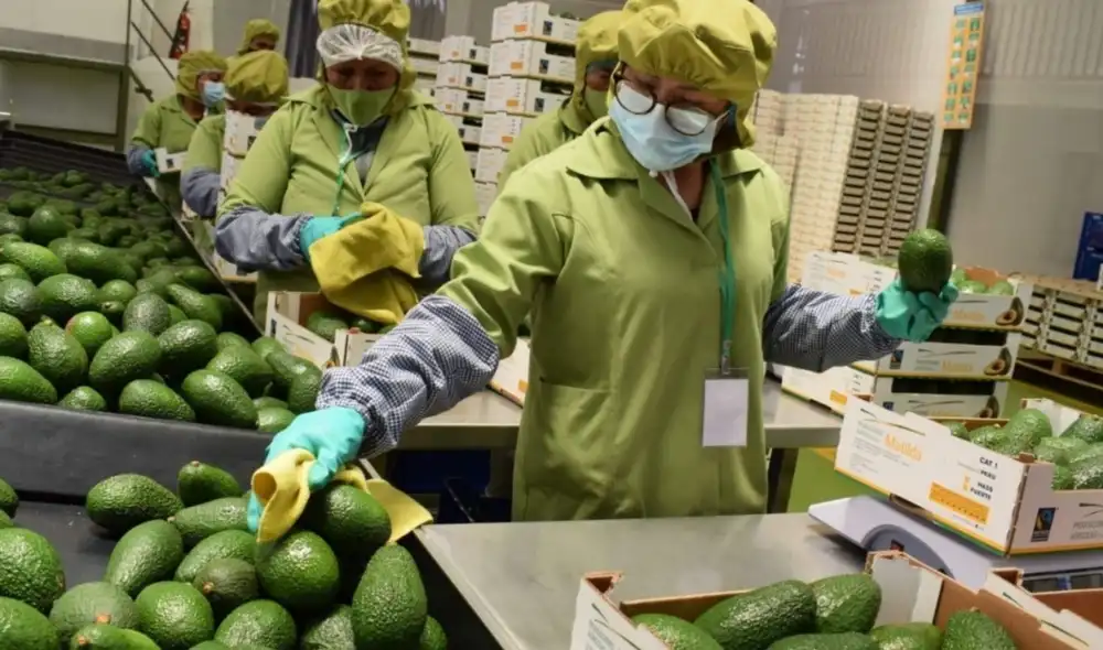 Estados Unidos y Europa siguen siendo los principales destinos de las agroexportaciones