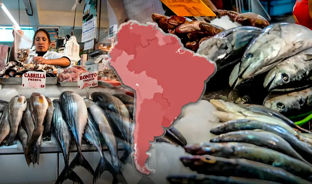 Este país es el único de América Latina en el top 5 del ranking mundial de producción de pescado. Este país es el único de América Latina en el top 5 del ranking mundial de producción de pescado.