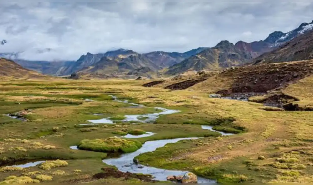 Los ecosistemas de humedales son más frágiles ahora por el cambio climático. Fuente: Difusión