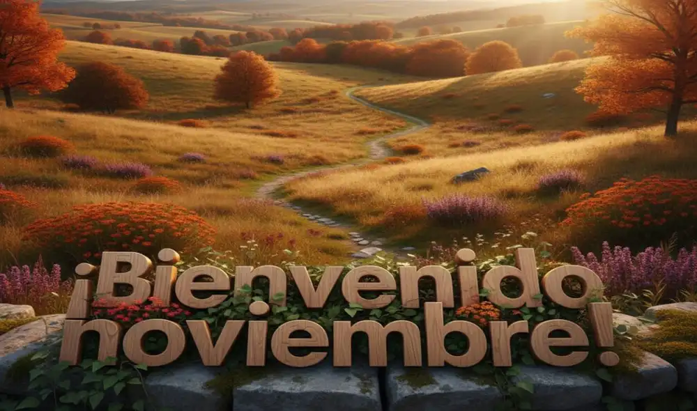 Recibe el mes de noviembre con frases y mensajes bonitos. Recibe el mes de noviembre con frases y mensajes bonitos.