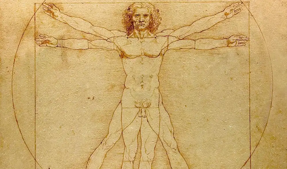 Un estudio reciente resuelve un rompecabezas matemático oculto en el Hombre de Vitruvio de Leonardo da Vinci. Foto: WikiCommons Un estudio reciente resuelve un rompecabezas matemático oculto en el Hombre de Vitruvio de Leonardo da Vinci. Foto: WikiCommons