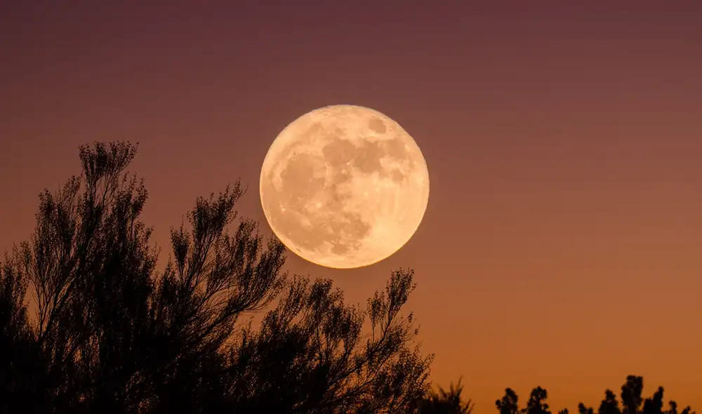 En noviembre la luna se verá más grande y brillante debido a su punto más cercano a la Tierra. Foto: Pixabay En noviembre la luna se verá más grande y brillante debido a su punto más cercano a la Tierra. Foto: Pixabay