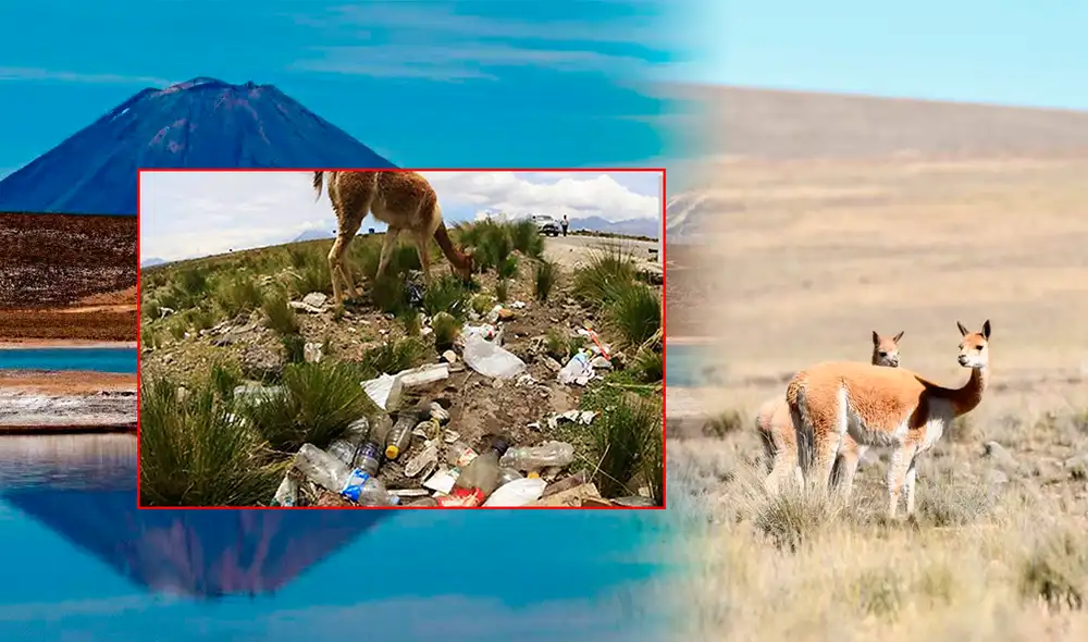 La alcaldesa reveló que solo se realizan dos campañas de limpieza al año.