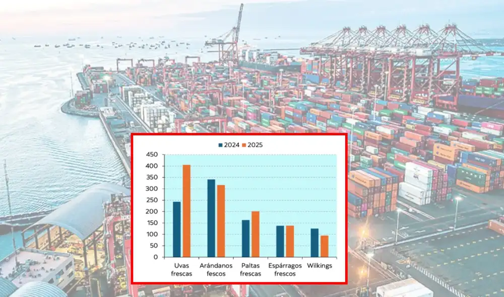 Estados Unidos sigue siendo el principal comprador de productos agrícolas del Perú.