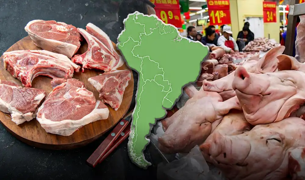 Solo dos países de América Latina figuran en el top 10 de producción de carne de cerdo en el mundo.