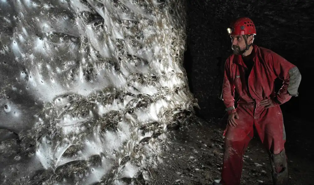 Una colonia de arañas habita ha construido lo que parece ser la telaraña más grande jamás encontrada. Foto: István Urák/Subterranean Biology Una colonia de arañas habita ha construido lo que parece ser la telaraña más grande jamás encontrada. Foto: István Urák/Subterranean Biology