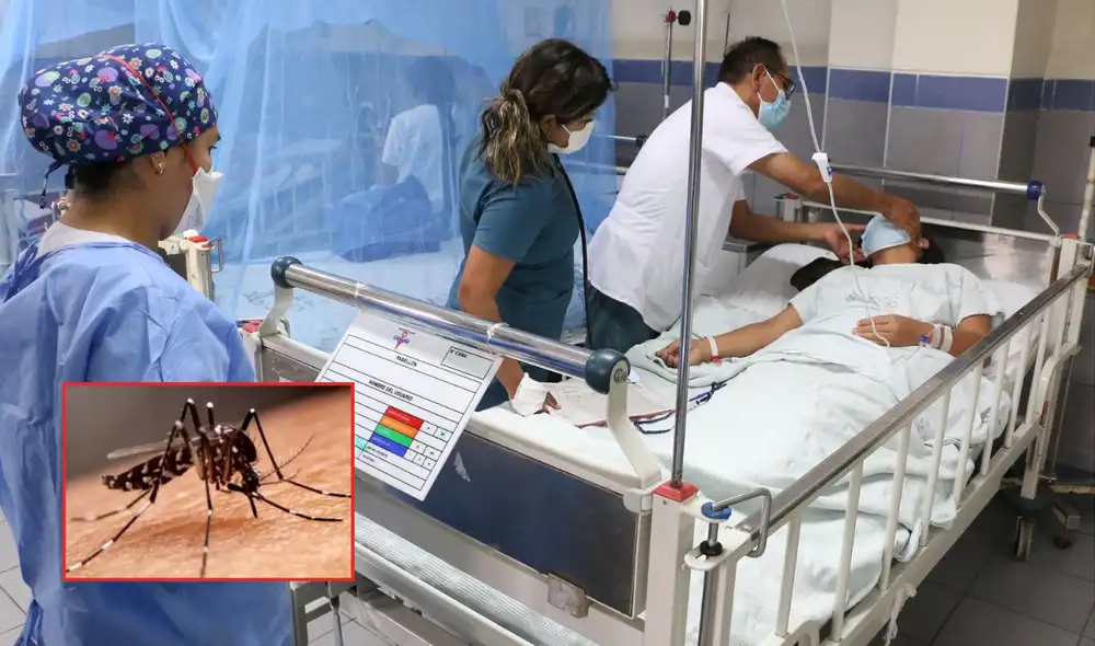 A lo largo del 2025, se han registrado 9.615 casos de dengue, un 89% menos comparado al 2024.